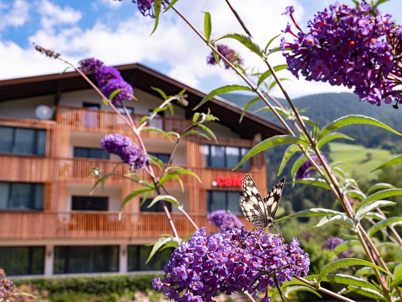 Der Brueckenwirt Apart otel Heinfels Dış mekan fotoğraf